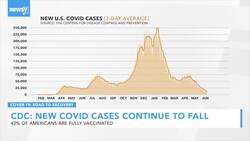 CDC: Fewer Than 15,000 New COVID Cases Per Day News Clip