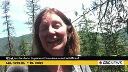 Human-caused wildfires often have greatest impact on communities, says researcher News Clip