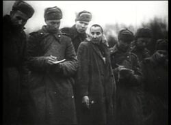 Liberation of Auschwitz Documentary - Part 7 of 11 Stock Footage