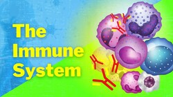 An Introduction to the Immune System Instructional Video