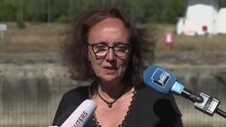 CLEAN : French official says moving the stranded beluga "back into the sea" possible News Clip