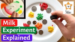 Milk and Food Coloring Experiment Explained Instructional Video