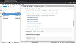 Probability Statistics - The Foundations of Machine Learning - Getting Started with Code: Feel of Data Instructional Video