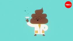 TED-Ed: What is a poop transplant, and how does it work? | Kathryn M. Stephenson and David L. Suskind Instructional Video
