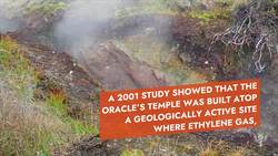 What the Fact: Drinking and Drugs Instructional Video