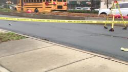 NYPD: Woman fatally struck by car in Concourse Village; driver fled the scene News Clip