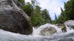 Ecosystem Activator: Streams and Rivers. Age 7 - 10. Instructional Video