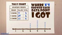 Line Plots Song for 2nd Grade | Creating Line Plots for Kids by NUMBEROCK Instructional Video