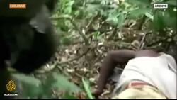 DR Congo: Rebels pushed from last stronghold in Beni, army says News Clip