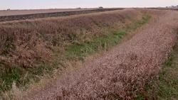 Critical Zone Observatories help U.S. plan for the future - Science Nation Instructional Video