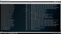 The Complete Ethical Hacking Bootcamp: Beginner To Advanced - Crafting Windows Payloads with Msfvenom Instructional Video