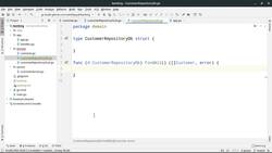 Building Microservices API in Go - Database Adapter Instructional Video