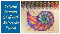 Colorful Nautilus Shell with Watercolor Pencils | Grabie Product Review and Demo Instructional Video