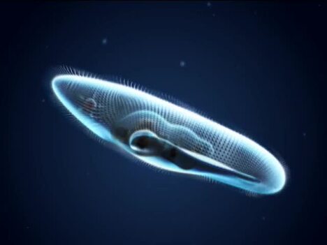 Introduction to Protozoans