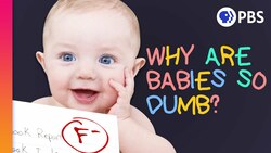 Humans Are Smart. Why Are Babies So Dumb? Instructional Video