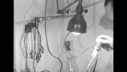 Batteries and storerooms News Clip