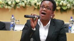 CLEAN : African Union leaders mourn Nelson Mandela News Clip