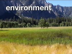 Our Precious Earth: Earth's Natural Resources Instructional Video