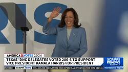 VP Kamala Harris has received enough votes to be Democratic nominee News Clip