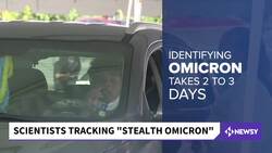 Scientists Research 'Stealth Omicron' COVID Strain News Clip