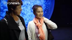 World’s largest jellyfish collection News Clip