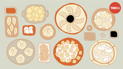 TED-Ed: A brief history of dumplings | Miranda Brown Instructional Video
