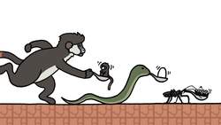 Why Do Animals Eat Their Babies? Instructional Video