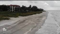 Florida's toxic red tide is a perfect storm for the Gulf Coast News Clip