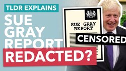 The Sue Gray Report Amendments Explained: Have the Met Saved Johnson? - TLDR News Instructional Video