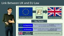 Political and Legal Threats and Opportunities for Business Performance Instructional Video