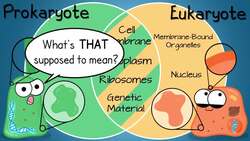 Endosymbiotic Theory Instructional Video