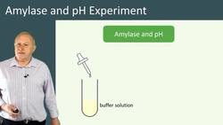 Amylase and pH Experiment - Theory Instructional Video