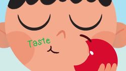 Five Senses Song Instructional Video