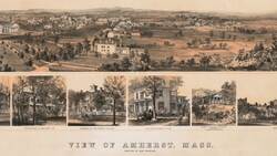 Introduction to Emily Dickinson Instructional Video