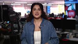 CBC Calgary Headline News August 1: News Clip