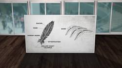 The Quill Pen Instructional Video