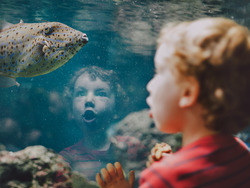 Embracing Enthusiasm: A Journey of Inspiration and Achievement Instructional Video