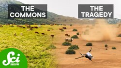 How To Solve Game Theory's Unsolvable Problem Instructional Video