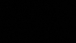 CLEAN : Poland-Belarus migrant crisis 'intolerable' says UN rights chief spokesperson News Clip