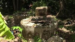 VOICED : Los cerdos profanan los pozos sagrados de los mayas en México News Clip