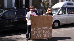 Protesters descend on Dominic Cummings' home News Clip