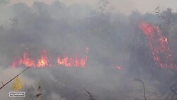 ‘An inferno’: The largest wetlands in the world are on fire in Brazil News Clip
