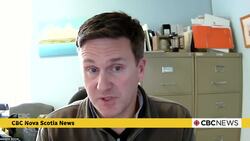 Outbreak of brain worm killing moose in Cape Breton News Clip