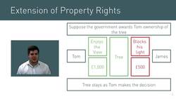 Extension of Property Rights and the Coase Theorem Instructional Video