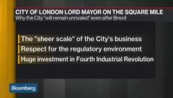 Lord Mayor of London Estlin on Brexit Talks, U.K.-Asia Collaborations News Clip