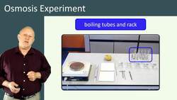 The Osmosis Experiment: Theory, Procedure, and Results Instructional Video