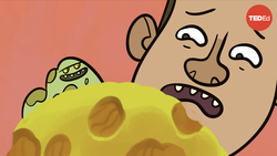 TED-Ed: Food expiration dates don't mean what you think | Carolyn Beans Instructional Video