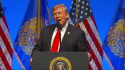 Trump condemns synagogue attack as ‘pure evil’ Instructional Video