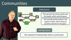 Understanding Communities and Key Terms Instructional Video