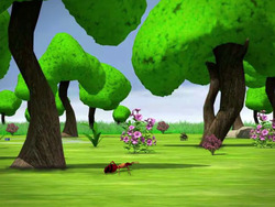 Introduction to Perimeter Instructional Video